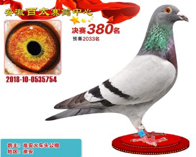 安徽百太决赛380名