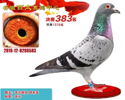 安徽百太决赛383名