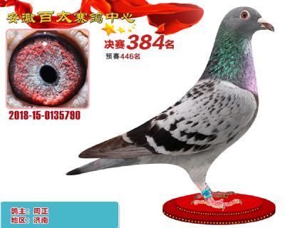 安徽百太决赛384名