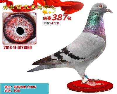 安徽百太决赛387名