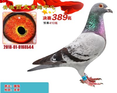 安徽百太决赛389名