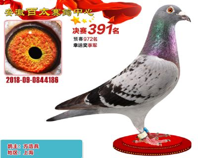 安徽百太决赛391名