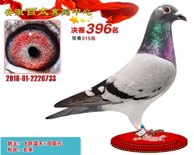 安徽百太决赛396名