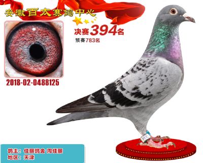 安徽百太决赛394名