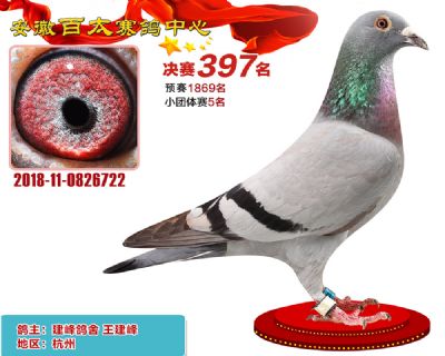安徽百太决赛397名