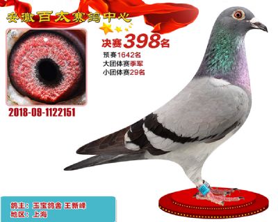 安徽百太决赛398名