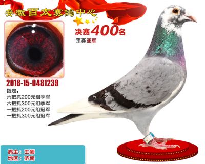 安徽百太决赛400名