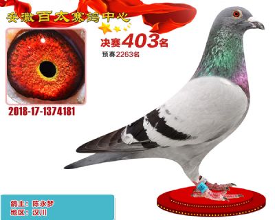 安徽百太决赛403名