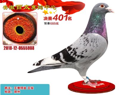 安徽百太决赛401名