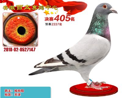 安徽百太决赛405名
