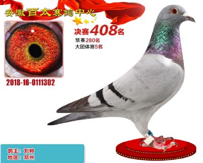 安徽百太决赛408名