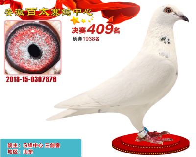 安徽百太决赛409名