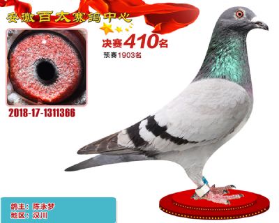 安徽百太决赛410名