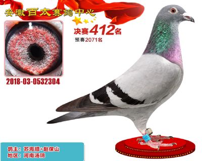 安徽百太决赛412名
