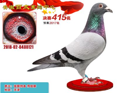 安徽百太决赛415名