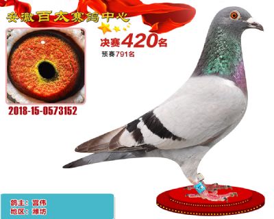 安徽百太决赛420名