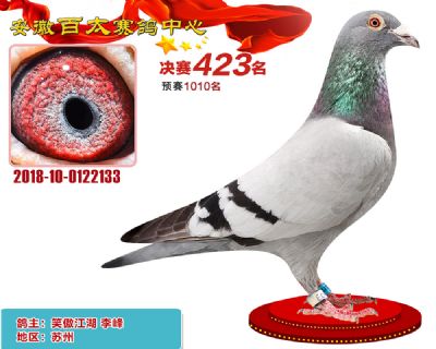 安徽百太决赛423名