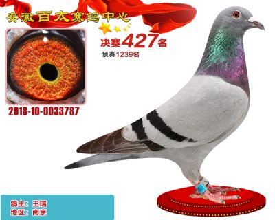 安徽百太决赛427名