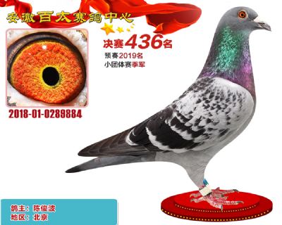 安徽百太决赛436名