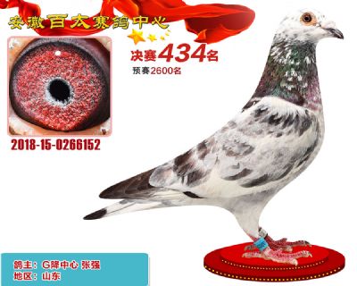 安徽百太决赛434名