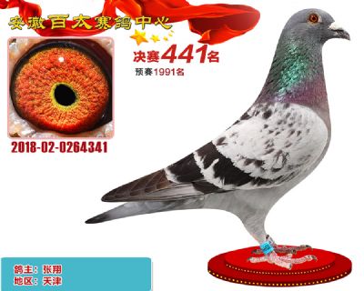 安徽百太决赛441名