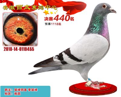 安徽百太决赛440名