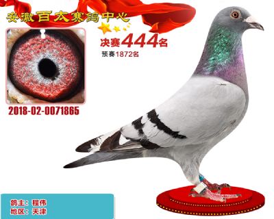 安徽百太决赛444名