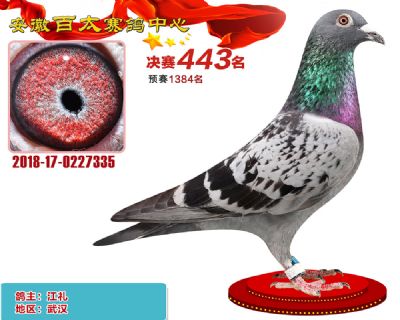 安徽百太决赛443名