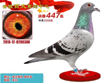 安徽百太决赛447名