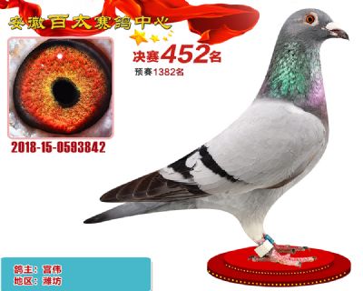 安徽百太决赛452名