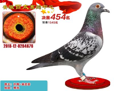 安徽百太决赛454名