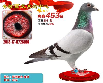 安徽百太决赛453名