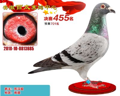 安徽百太决赛455名