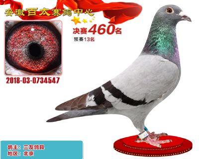 安徽百太决赛460名
