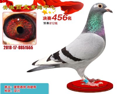 安徽百太决赛456名