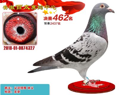 安徽百太决赛462名