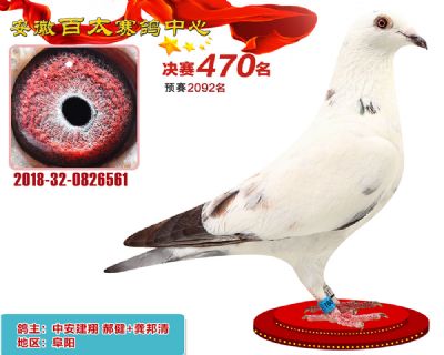 安徽百太决赛470名