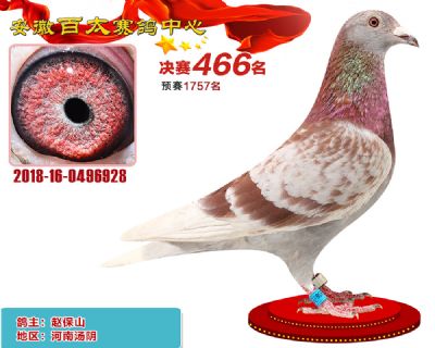 安徽百太决赛466名