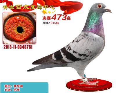 安徽百太决赛473名
