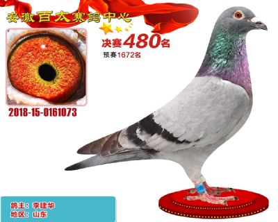 安徽百太决赛480名