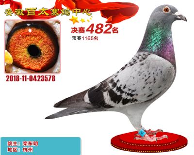 安徽百太决赛482名