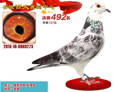 安徽百太决赛492名