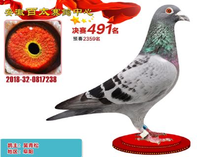安徽百太决赛491名