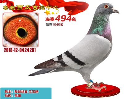 安徽百太决赛494名