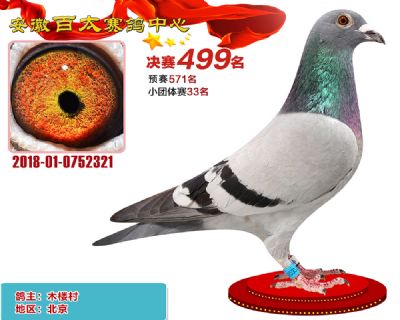 安徽百太决赛499名