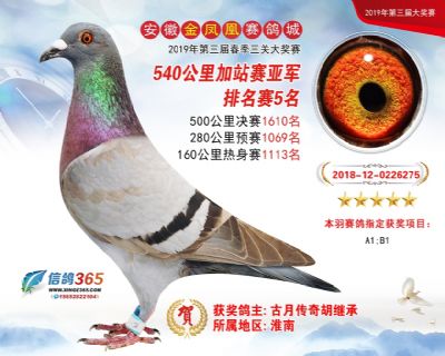 金凤凰加站赛亚军