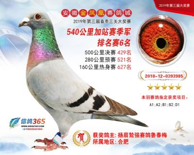 金凤凰加站赛季军