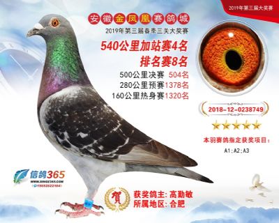 金凤凰加站赛4名