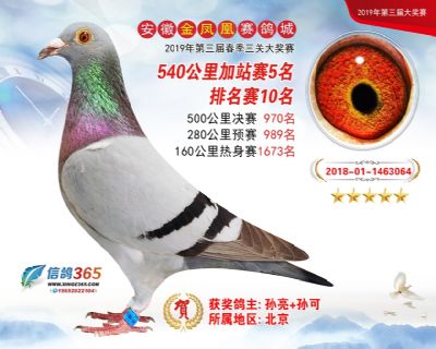 金凤凰加站赛5名