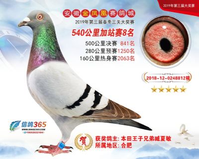 金凤凰加站赛8名